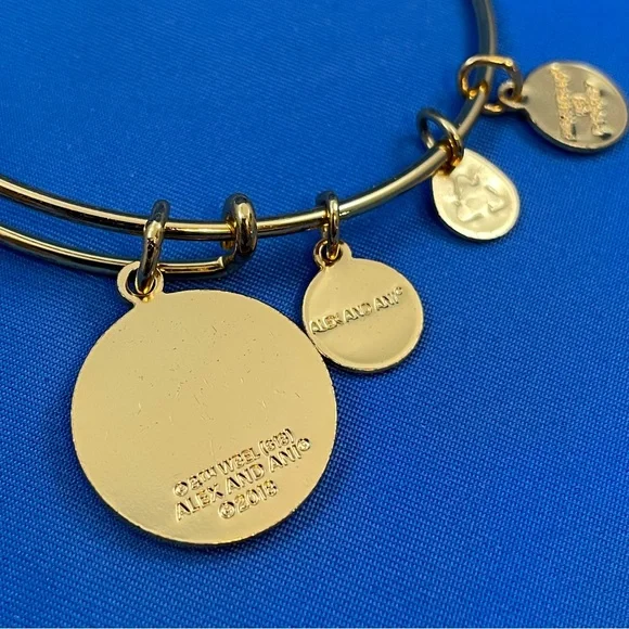 Alex and Ani Harry Potter ‘Dobby is Free’ shiny gold finish bangle bracelet - Picture 3 of 6